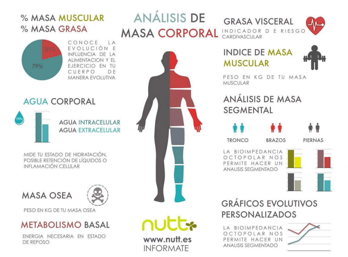 Estudio antropométrico antropometría composición corporal Valencia