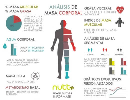 Estudio antropométrico antropometría composición corporal Valencia